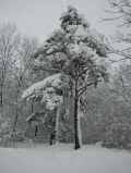 Januar-2004-Bild 11