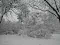 Januar-2004-Bild 12