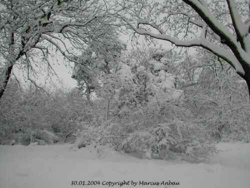 Januar-2004-Bild 12