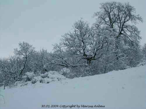 Januar-2004-Bild 13