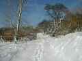 Januar-2004-Bild 17