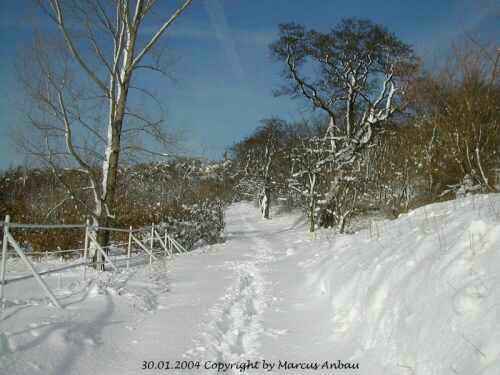 Januar-2004-Bild 17
