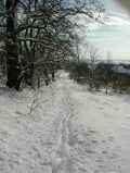 Januar-2004-Bild 18