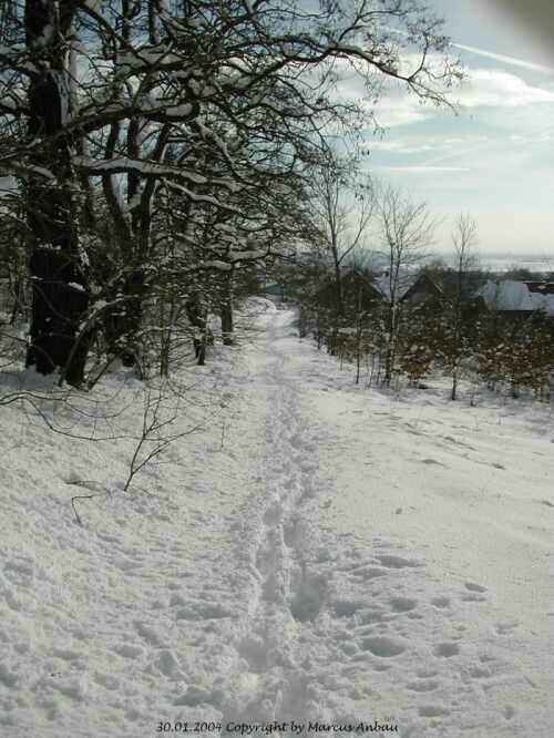 Januar-2004-Bild 18