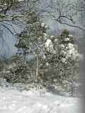 Januar-2004-Bild 19