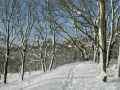 Januar-2004-Bild 20