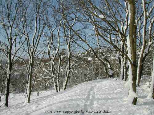Januar-2004-Bild 20