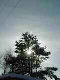 Januar-2004-Bild 21