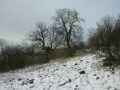Januar-2004-Bild 6