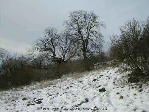 Januar-2004-Bild 6
