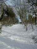 Kirchweg (Winter 2003)
